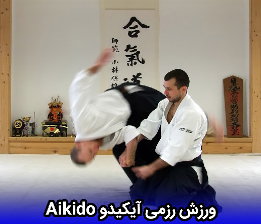 ورزش رزمی آیکیدو Aikido