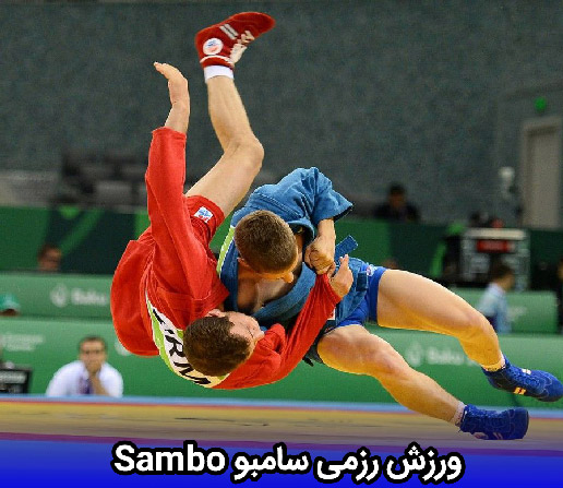 ورزش رزمی سامبو Sambo