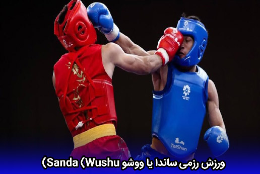ورزش رزمی ساندا یا ووشو Sanda (Wushu)